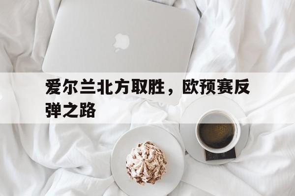 关于爱尔兰北方取胜，欧预赛反弹之路的信息